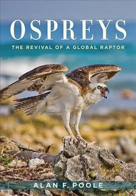 Ospreys: The Revival of a Global Raptor