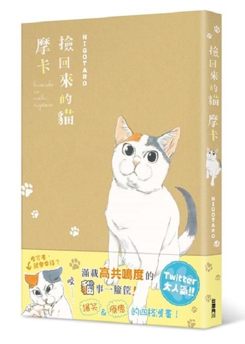 撿回來的貓: 摩卡