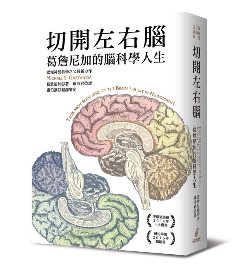 切開左右腦: 葛詹尼加的腦科學人生