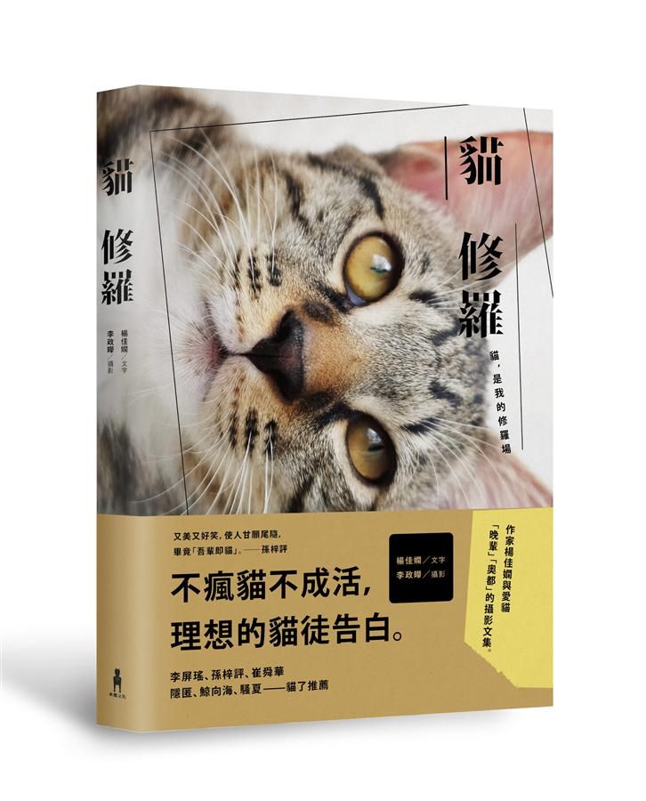 貓修羅