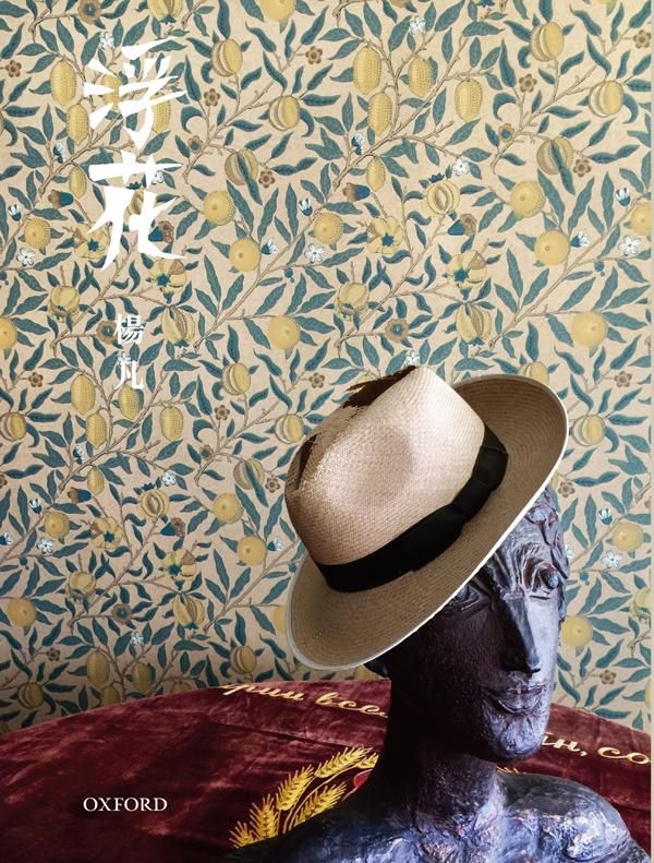 浮花: 楊凡電影隨筆