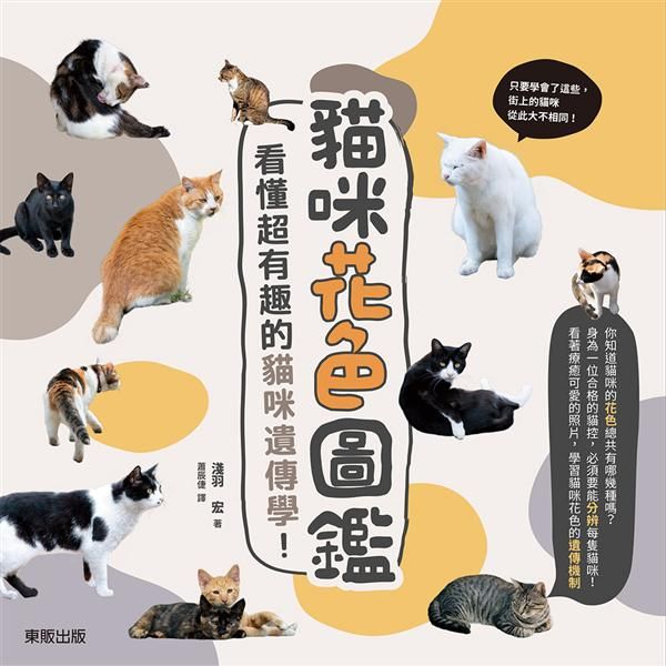 貓咪花色圖鑑: 看懂超有趣的貓咪遺傳學!