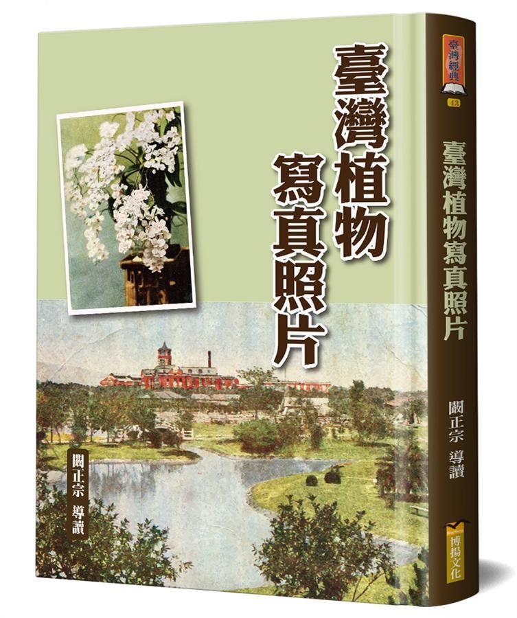 臺灣植物寫真照片