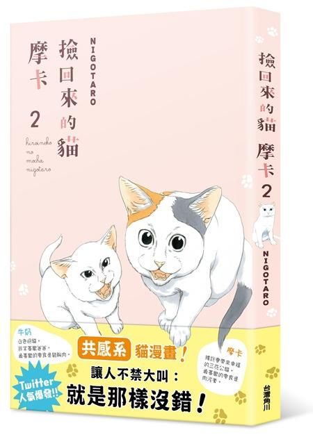 撿回來的貓: 摩卡 2