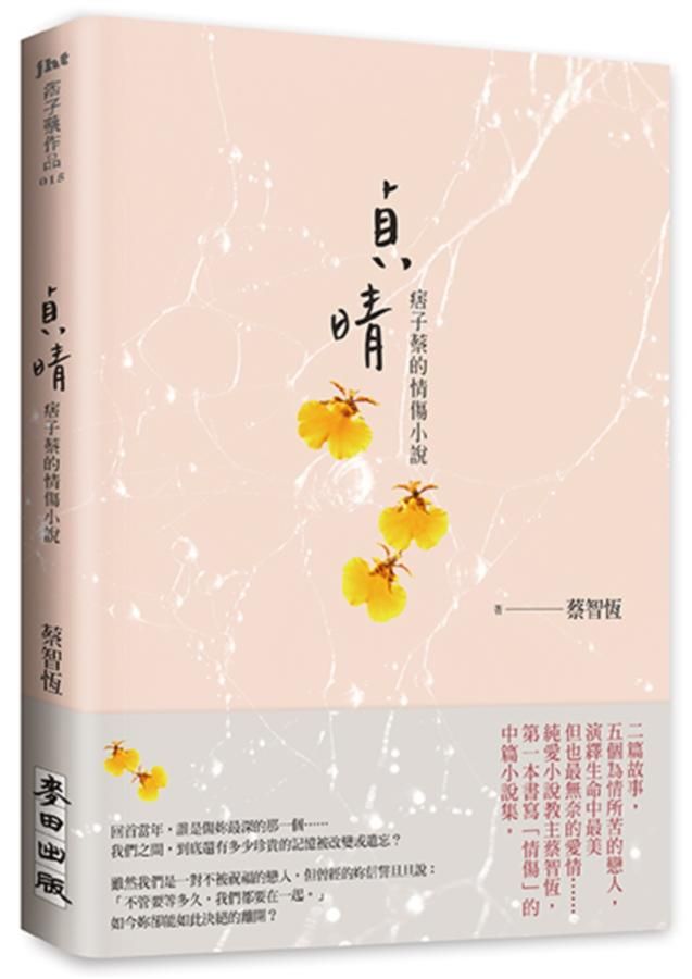 貞晴: 痞子蔡的情傷小說