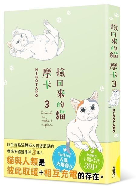 撿回來的貓: 摩卡 3