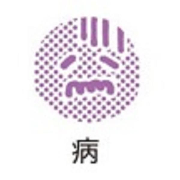 Shachihata Opini印章/ 生病