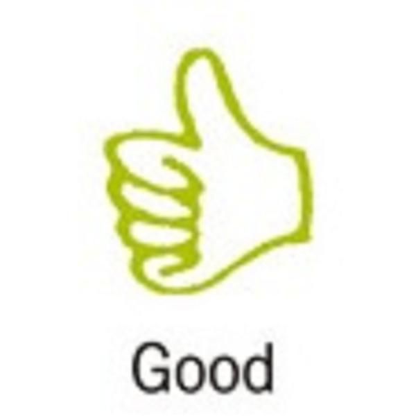 Shachihata Opini印章/ 讚