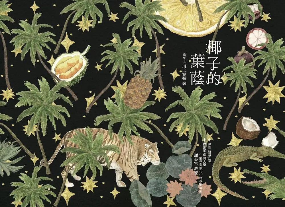 椰子的葉蔭