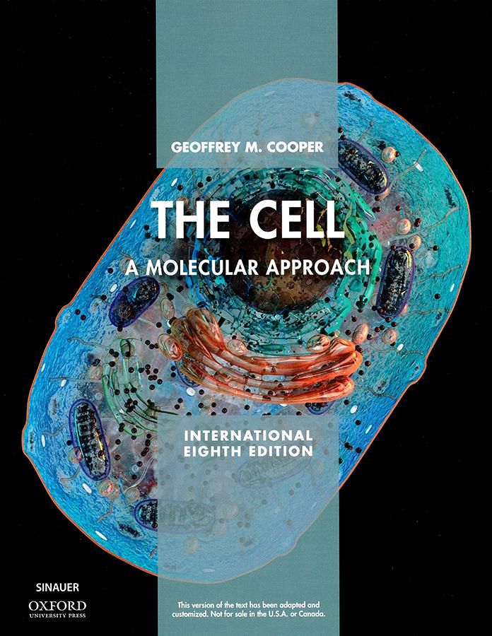 The Cell: A Molecular Approach (International 7 Ed.)