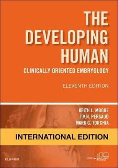 The Developing Human: Clinically Oriented Embryology (11 Ed.)