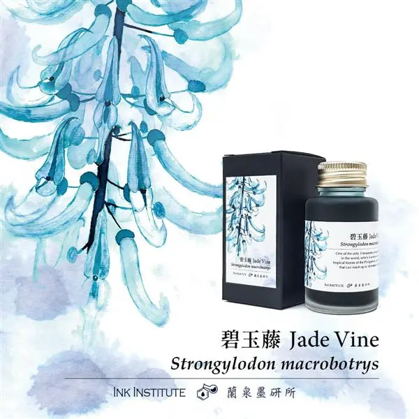 蘭泉墨研所INK INSTITUTE蜿蜒系列碧玉藤30ml鋼筆墨水