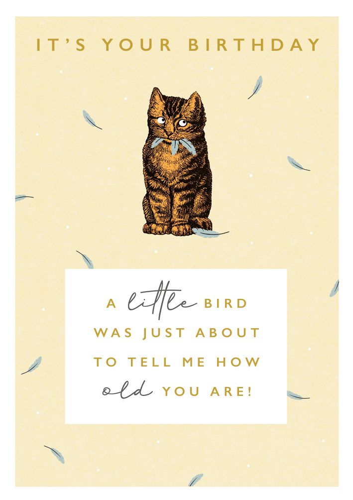 英國 ART FILE 生日卡/ It's Your Birthday, A Little Bird Was Just About to Tell Me How Old You Are!