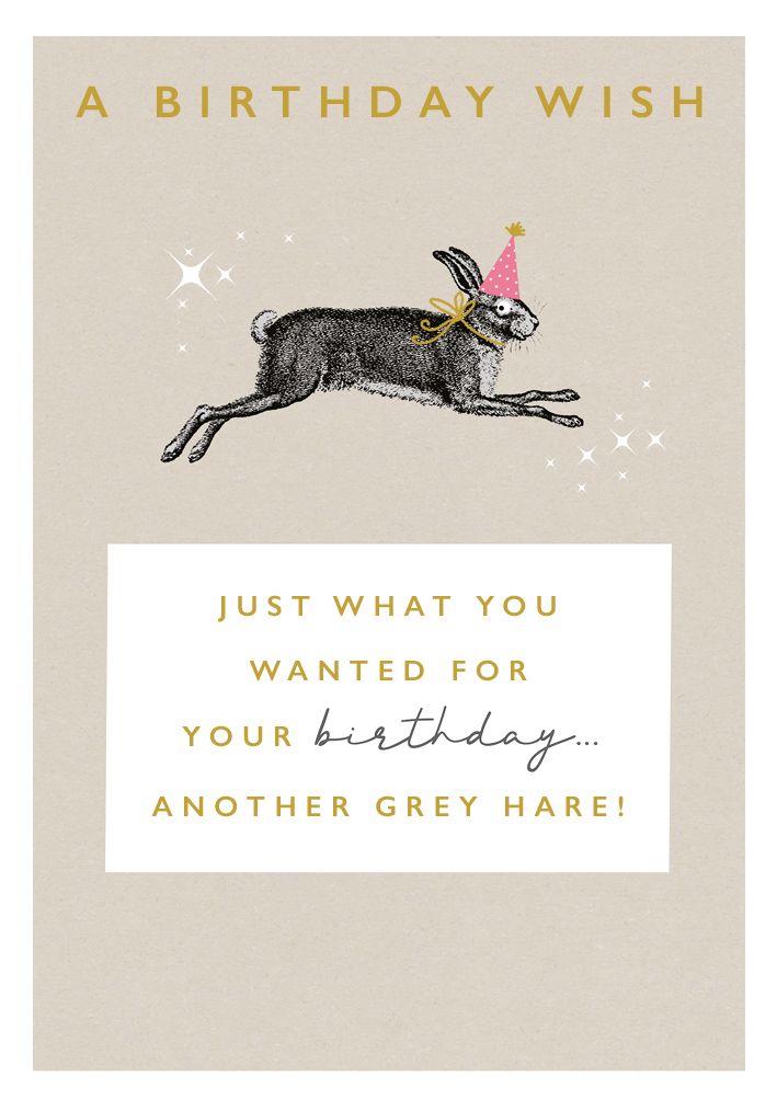 英國 ART FILE 生日卡/ A Birthday Wish, Just What You Wanted for Your Birthday...Another Grey Hare!