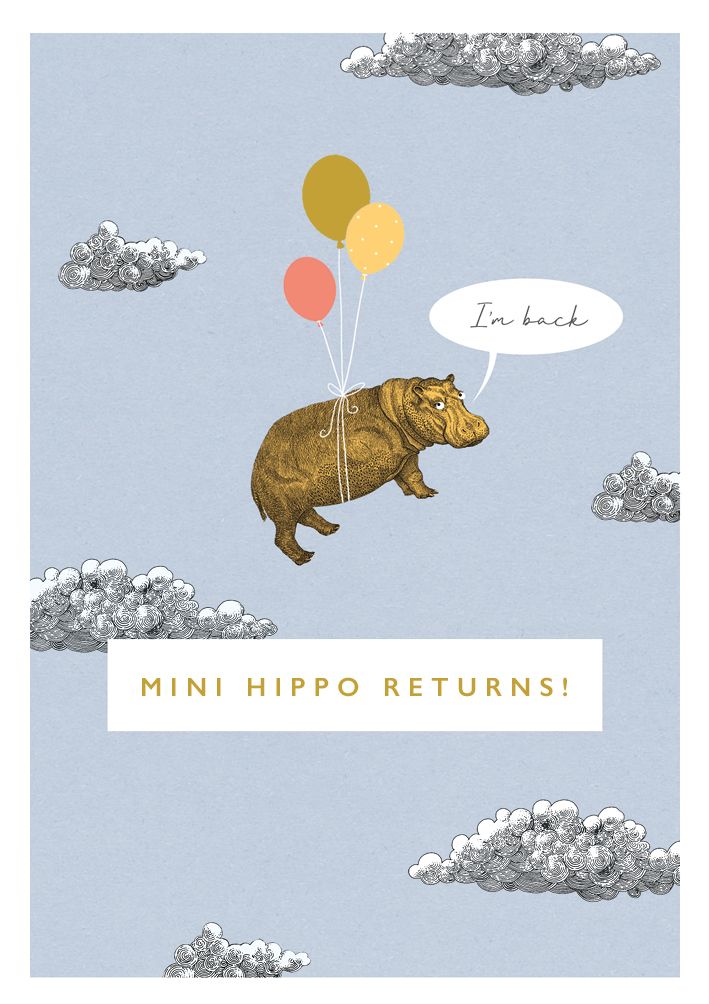 英國 ART FILE 生日卡/ I'm Back, Mini Hippo Returns!