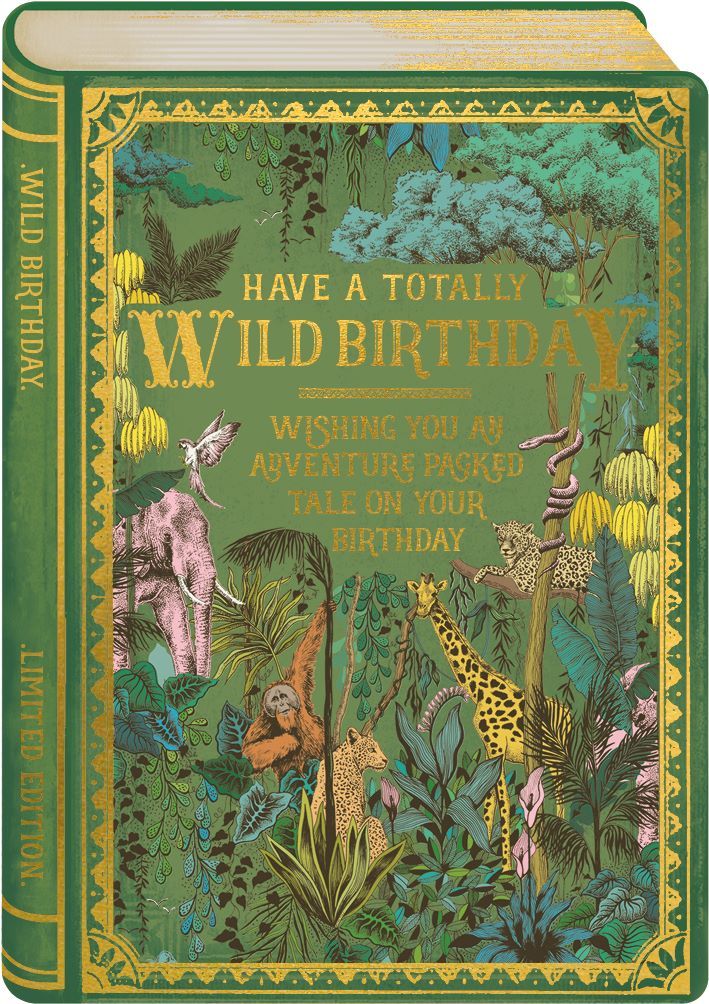 英國 ART FILE 生日卡/ Have a Totally Wild Birthday, Wishing You an Adventure Packed Tale on Your Birthday