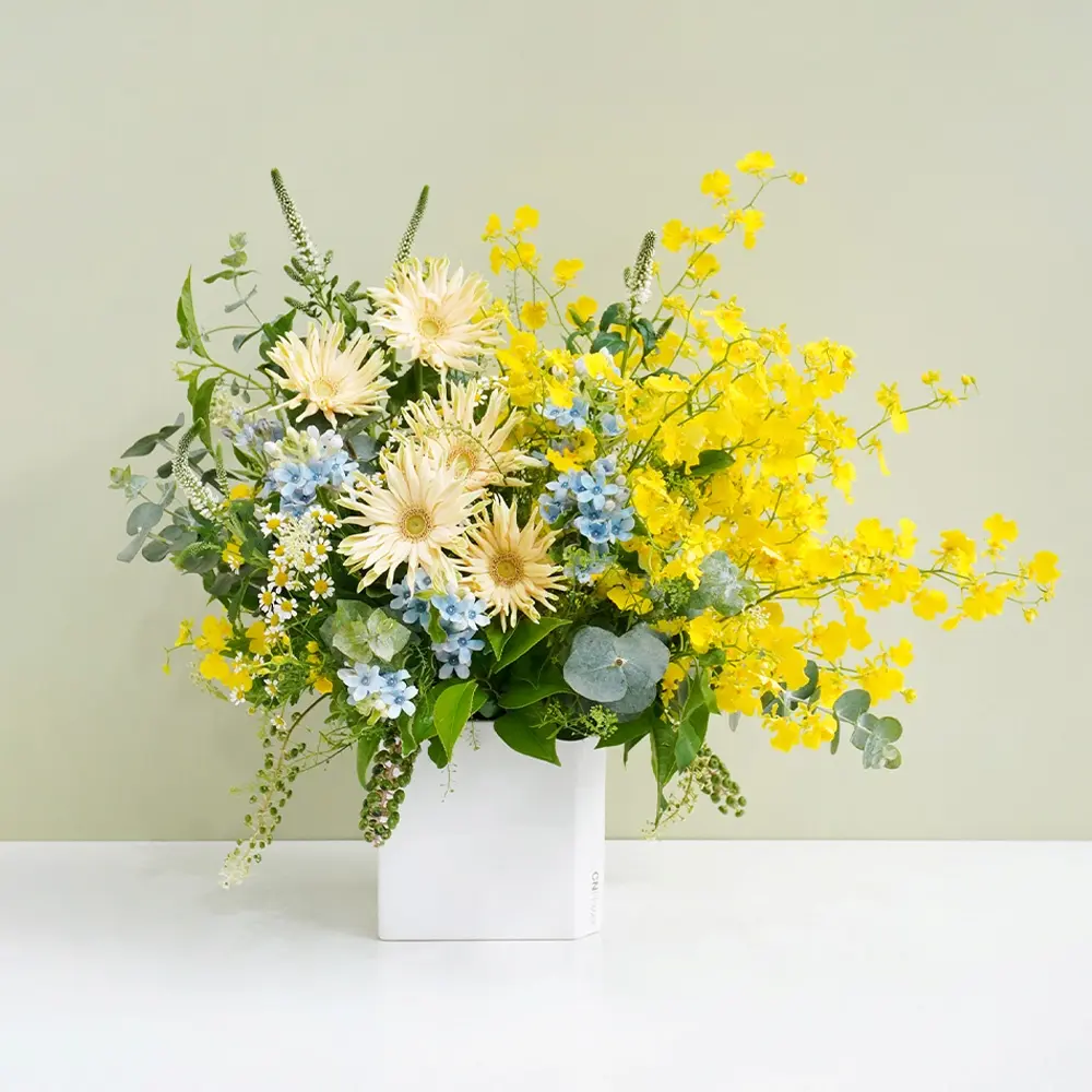CNFlower西恩 奶油太陽 盆花 送禮 鮮花 驚喜祝福 居家擺飾 