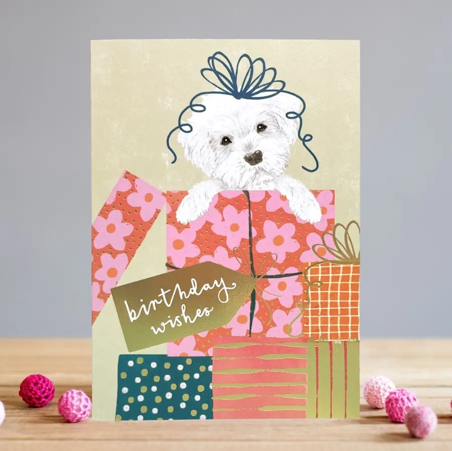 LOUISE TILER生日卡/ Bithday Box Puppy/ 毛寶貝禮物堆