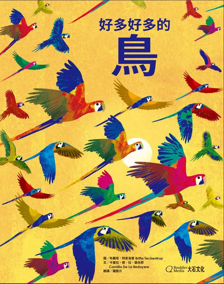 好多好多的鳥
