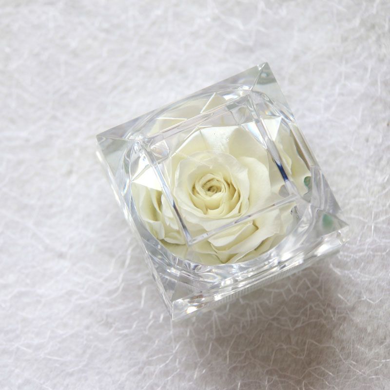 【NY Flower 紐約花藝】 8/23~9/22 Virgo 處女座生日限定禮 SAY YES 永生恆星戒盒永生花 - 雪霜白 (贈送10ml精油)