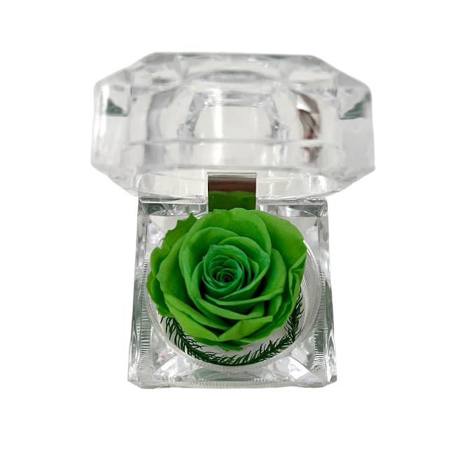 【NY Flower 紐約花藝】5/21~6/21 Gemini 雙子座生日限定禮 SAY YES 永生恆星戒盒永生花 - 波士頓綠 (贈送10ml精油)