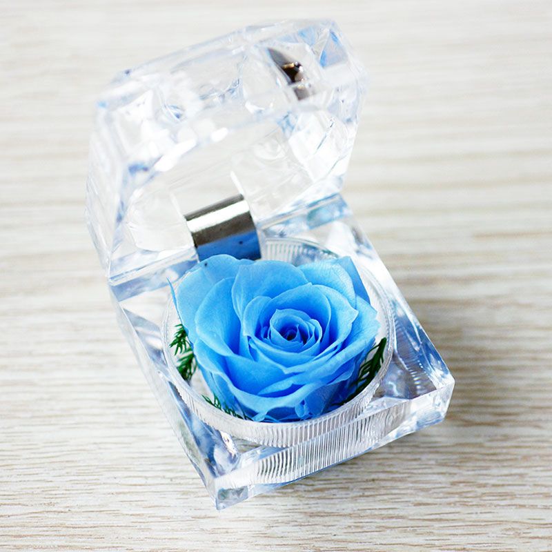 【NY Flower 紐約花藝】11/22～12/20 Sagittarius 射手座生日限定禮 SAY YES 永生恆星戒盒永生花 - 天空藍 (贈送10ml精油)