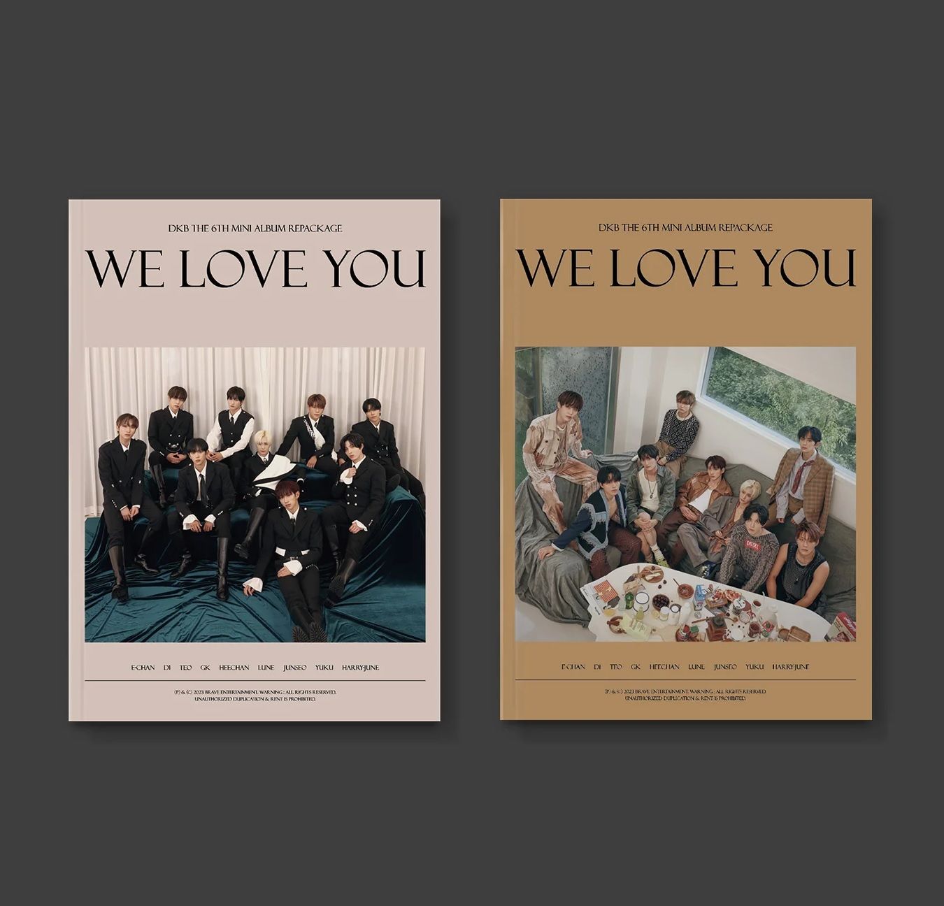 WE LOVE YOU (REPACKAGE改版)