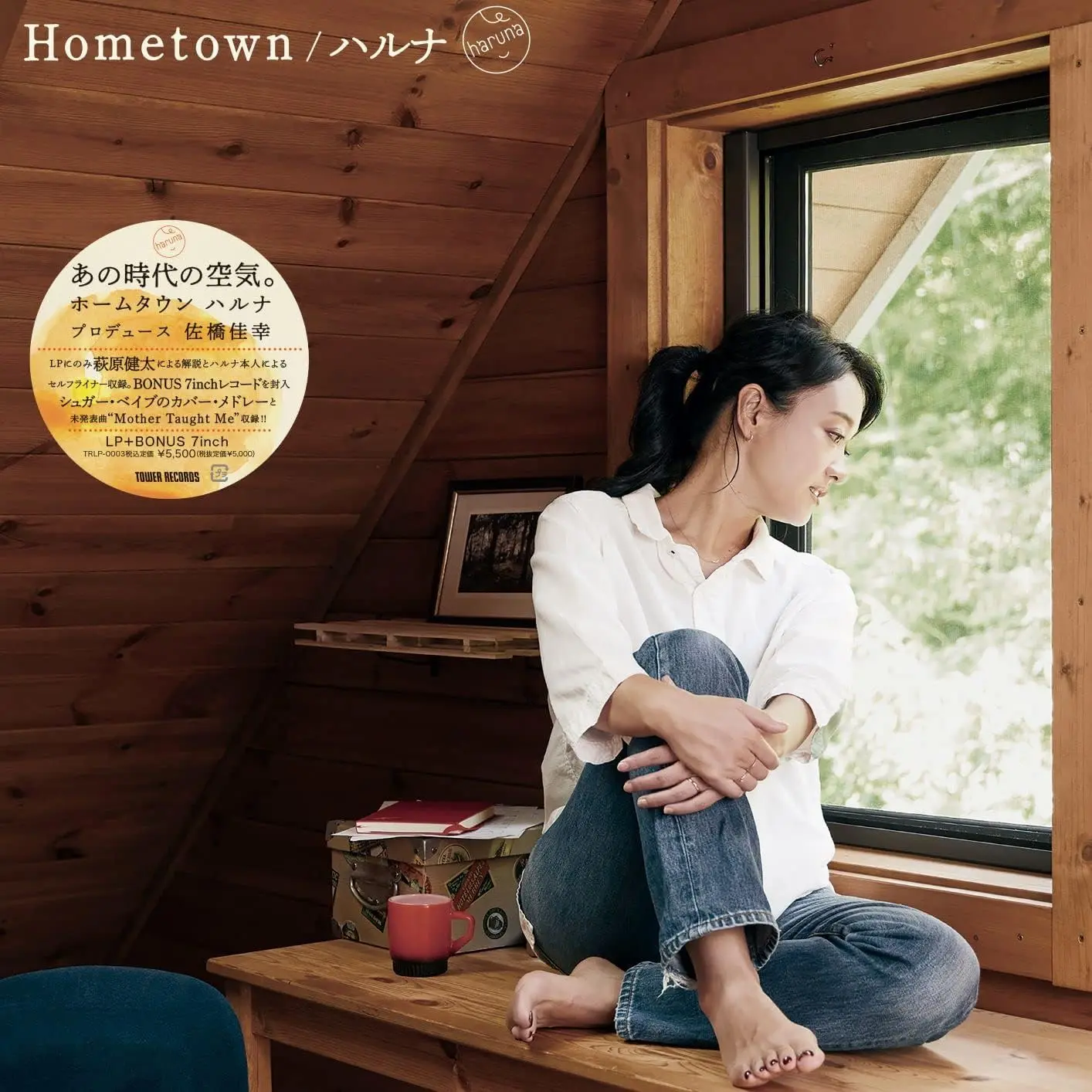 Hometown (LP+7" Vinyl)