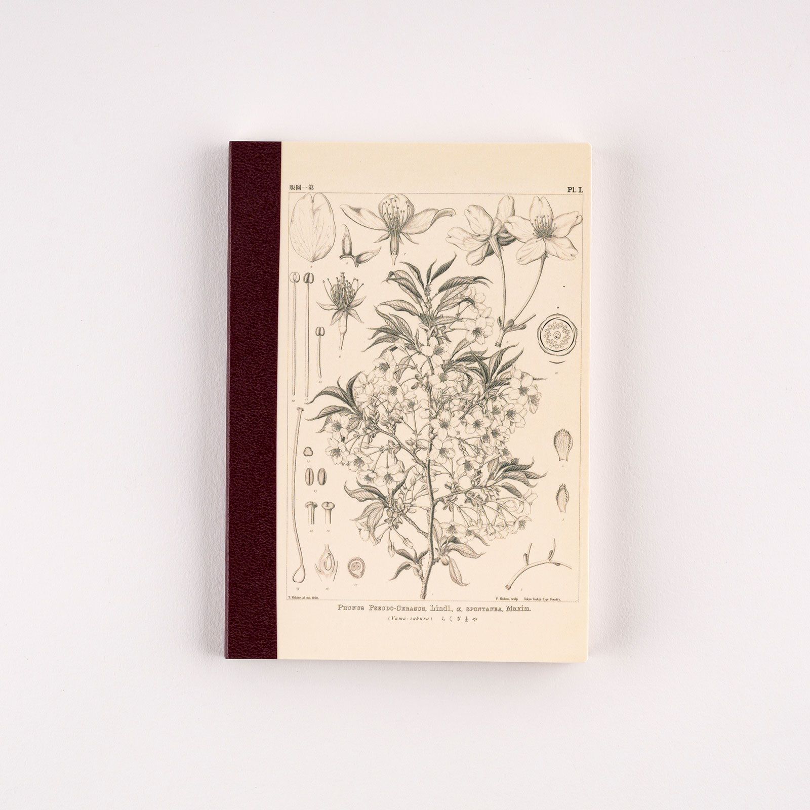 日本ほぼ日手帳方格筆記本/ A6/ Tomitaro Makino/ Yamazakura