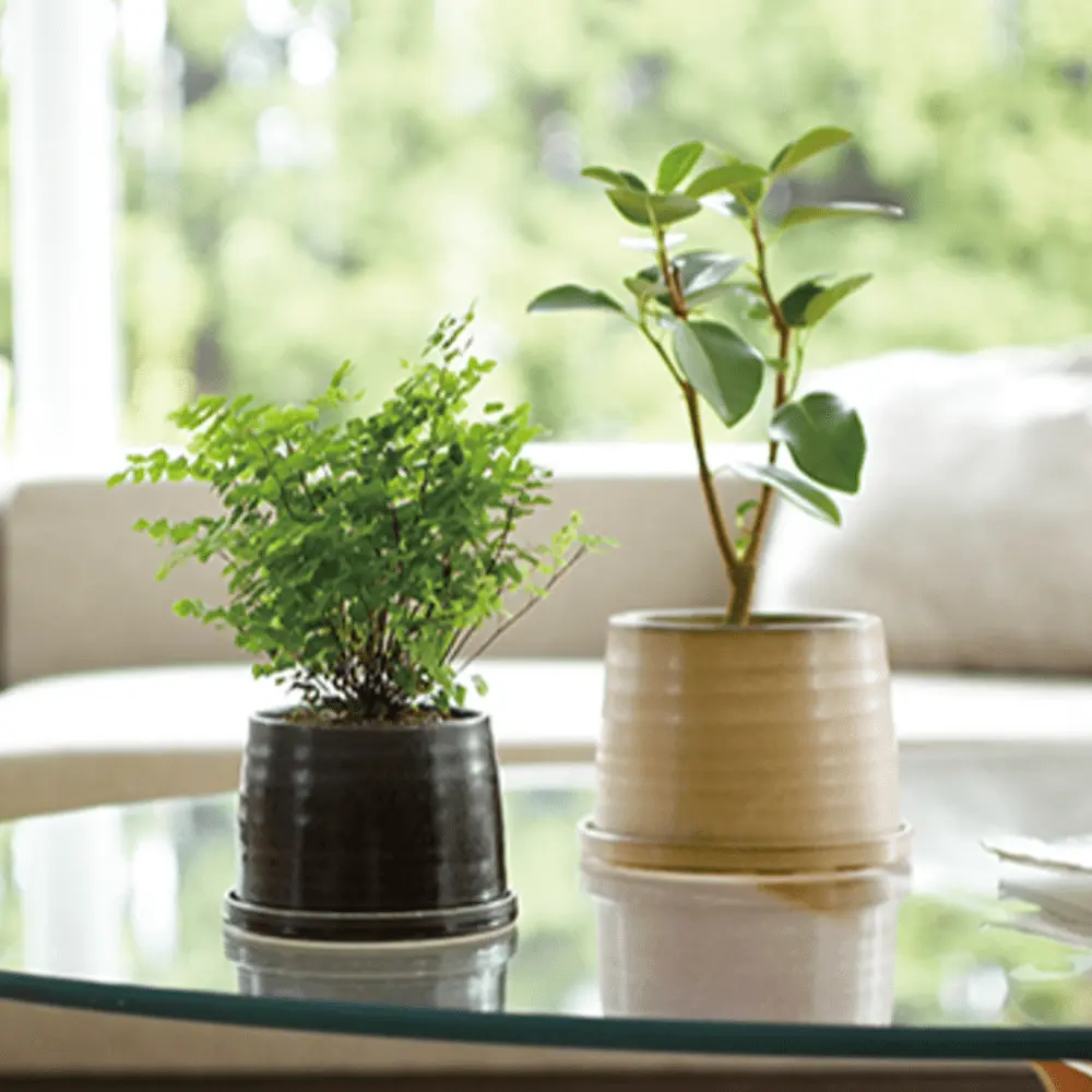 KINTO PLANT POT 192 陶瓷花盆/11cm/米
