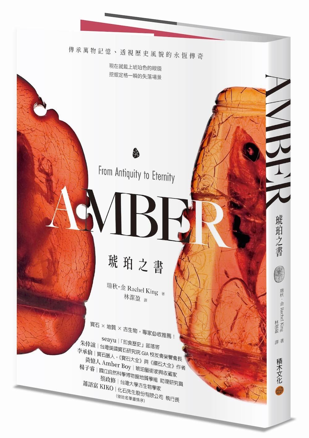 琥珀之書: 傳承萬物記憶、透視歷史風貌的永恆傳奇