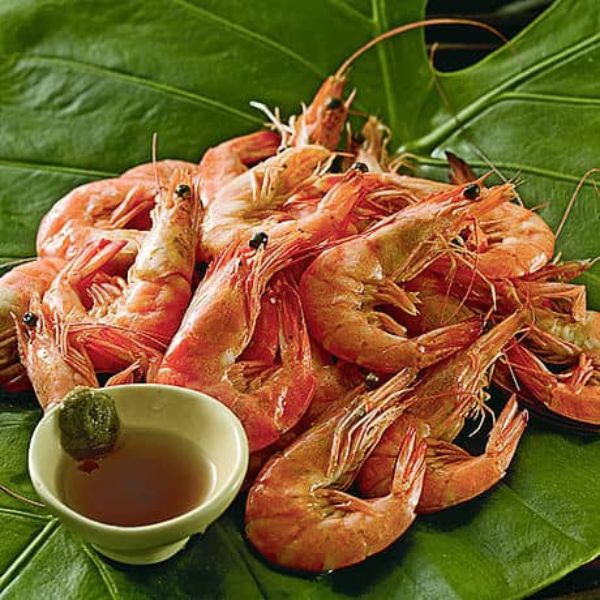 海水生態鮮蝦