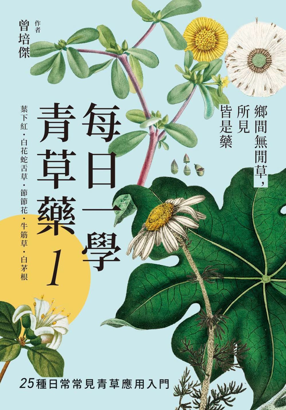 每日一學青草藥 1: 鄉間無閒草, 所見皆是藥