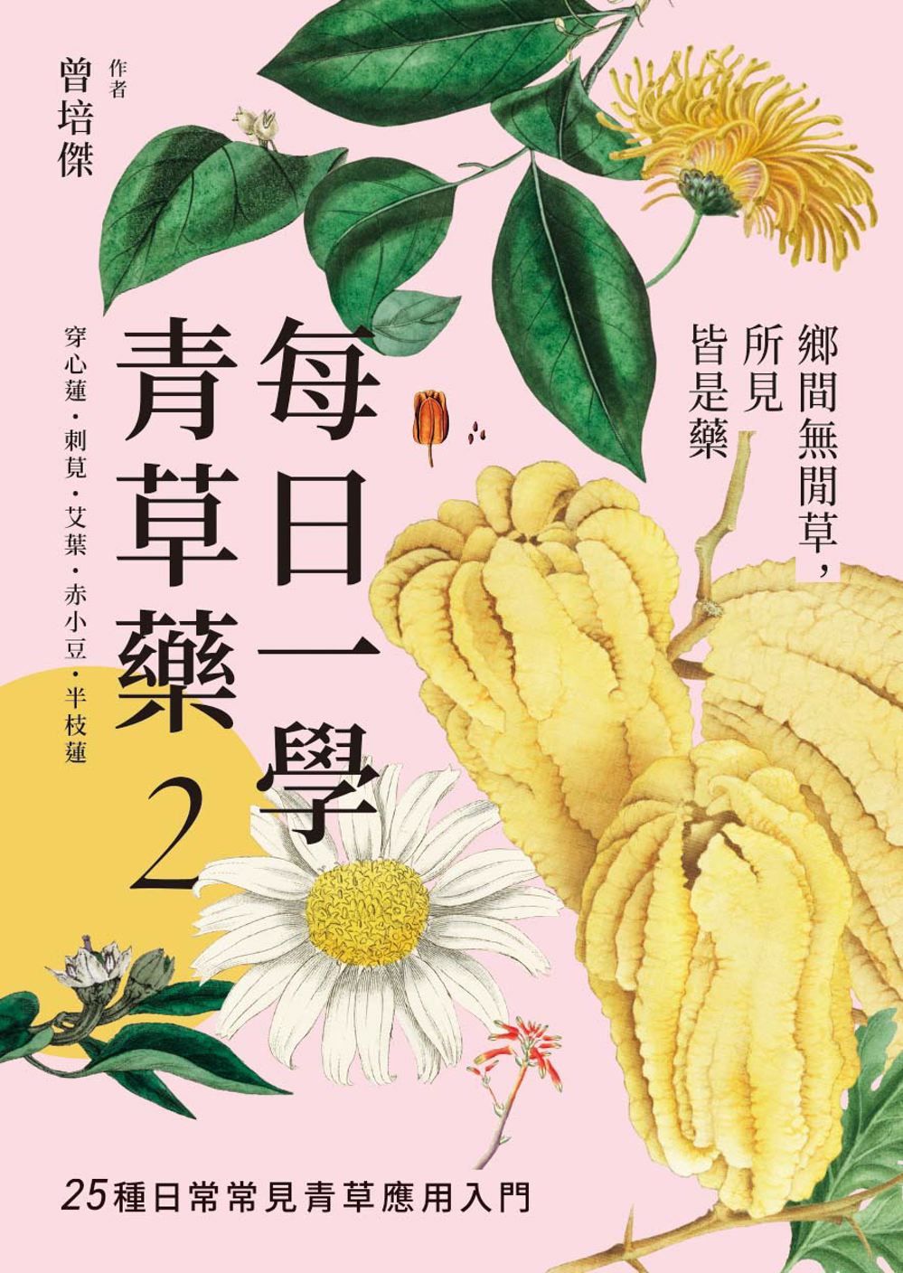 每日一學青草藥 2: 鄉間無閒草, 所見皆是藥