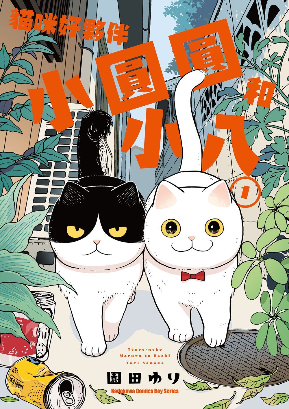 貓咪好夥伴小圓圓和小八 1
