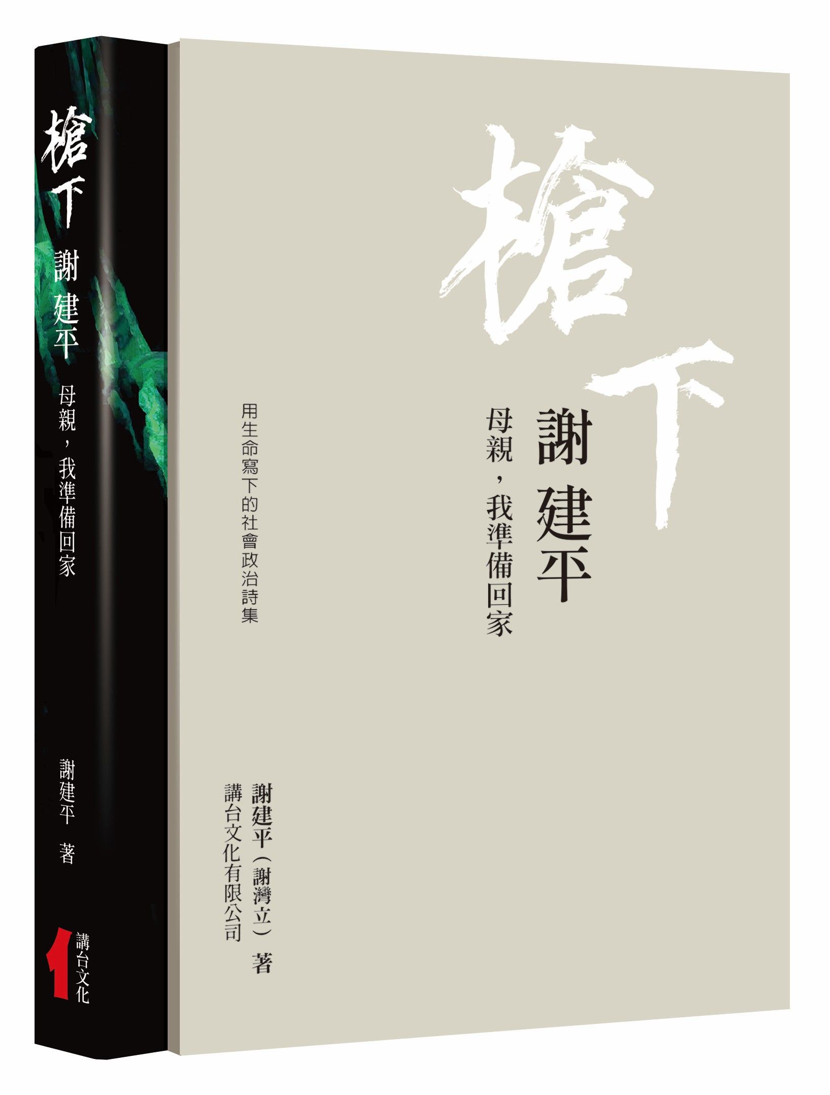 槍下 謝建平: 母親, 我準備回家: 用生命寫下的社會．政治詩集