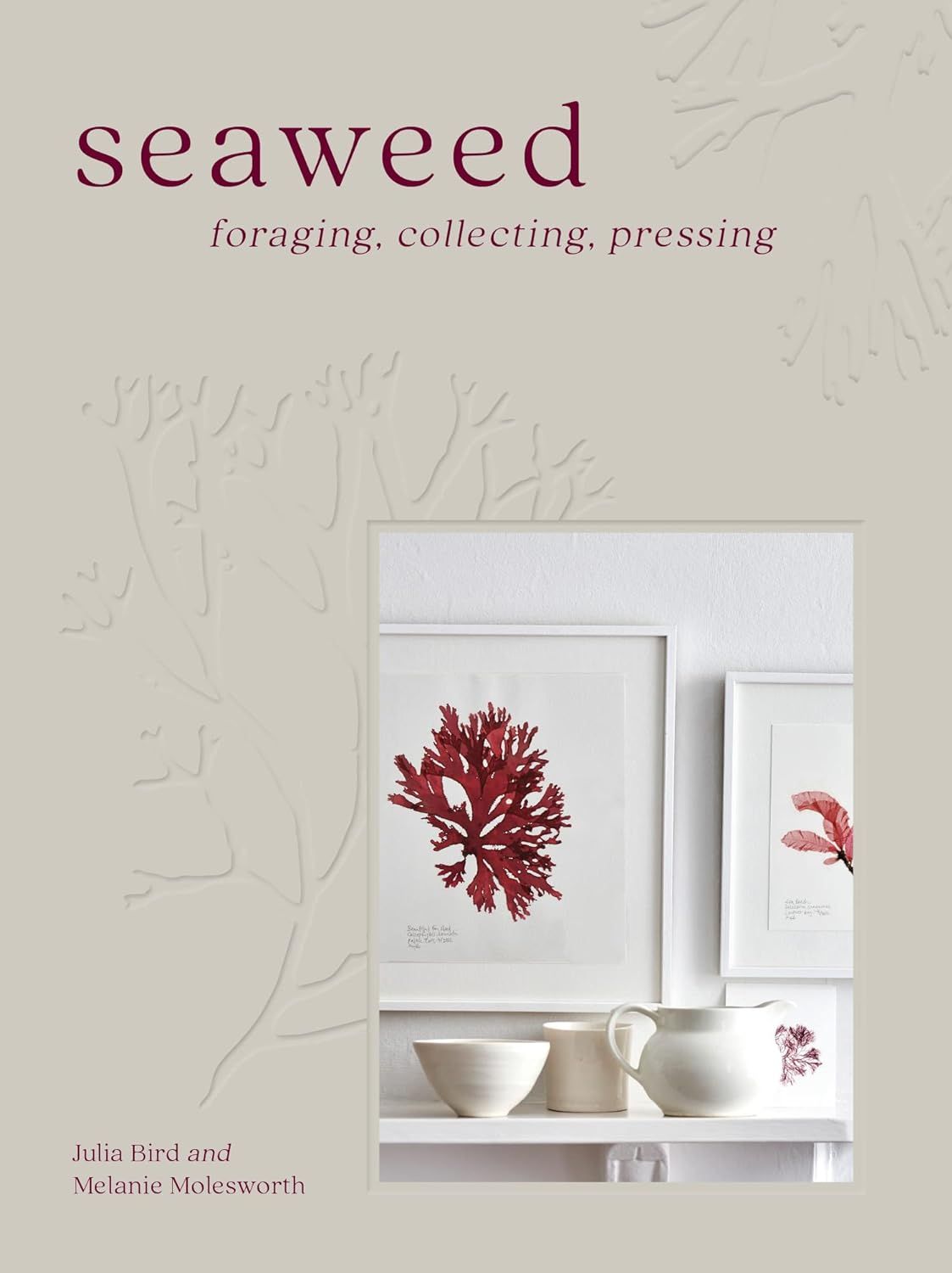 Seaweed: Foraging, Collecting and Pressing
