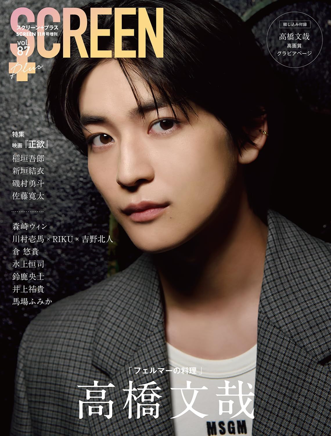 SCREEN PLUS (No.87)