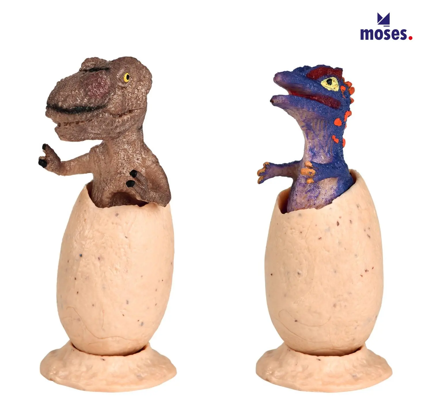 Moses小小考古/ 挖掘恐龍蛋