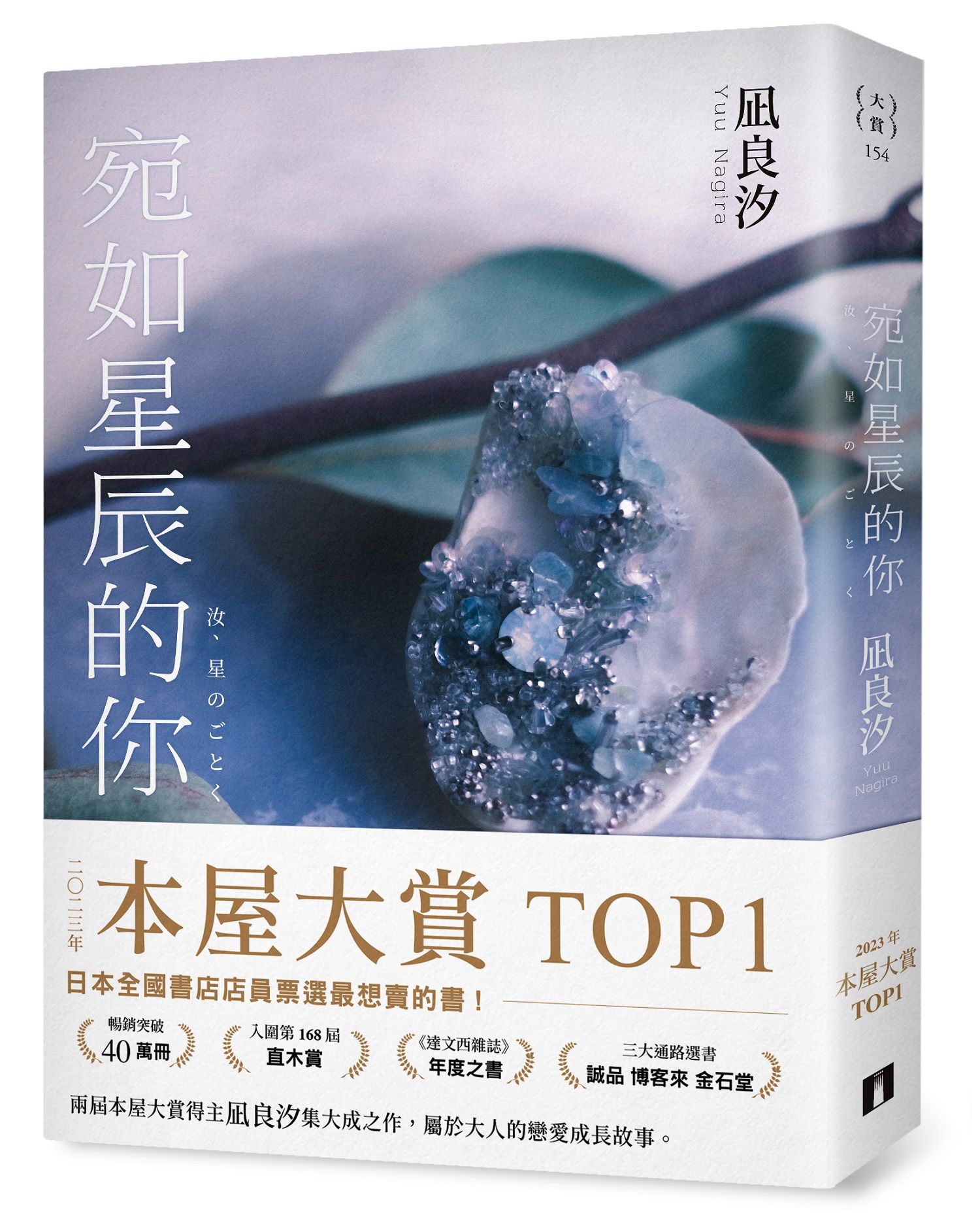 宛如星辰的你 (璀璨如星書封版)