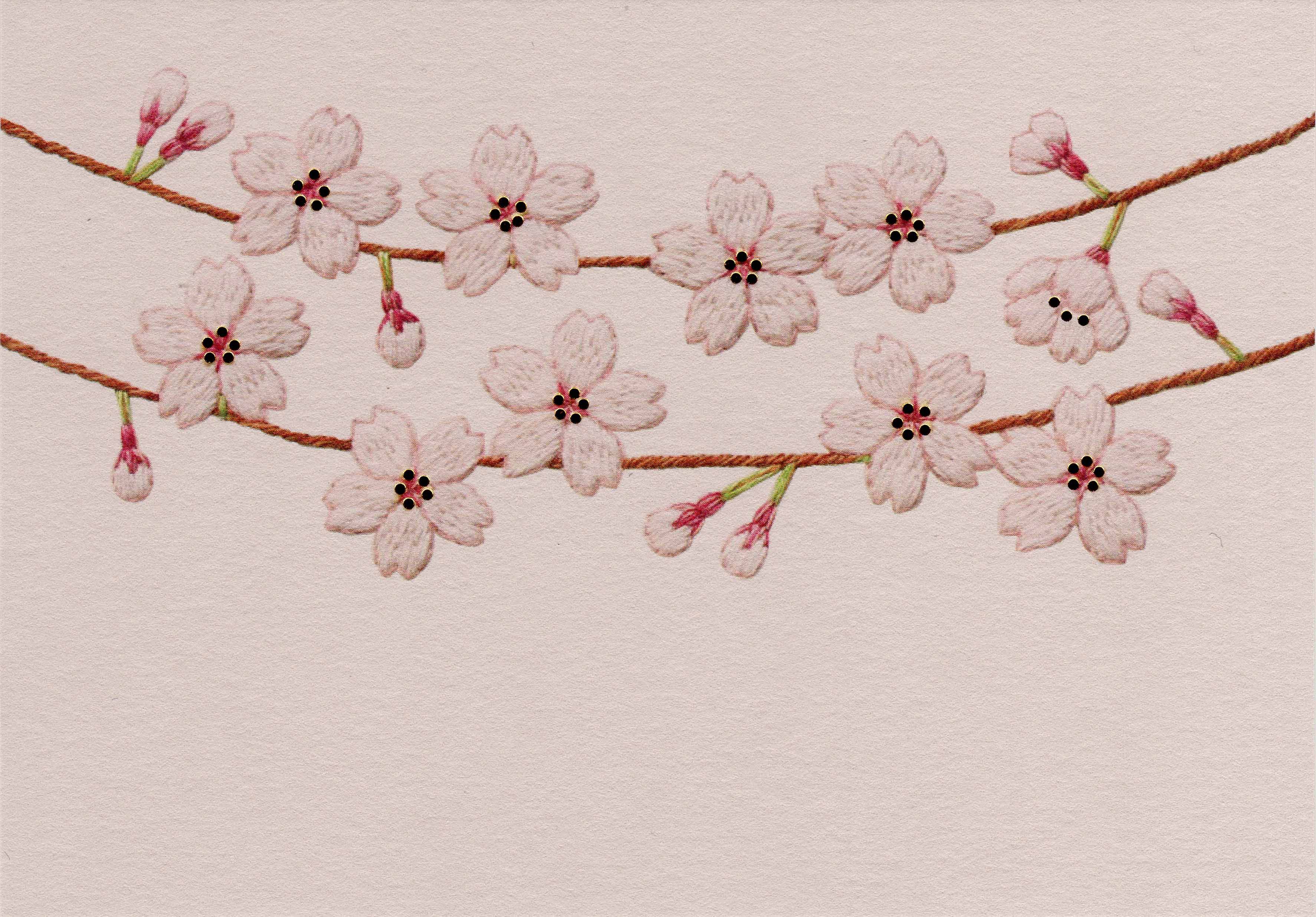 【誠品獨家】日本 7 days cards 明信片/ 櫻花 1