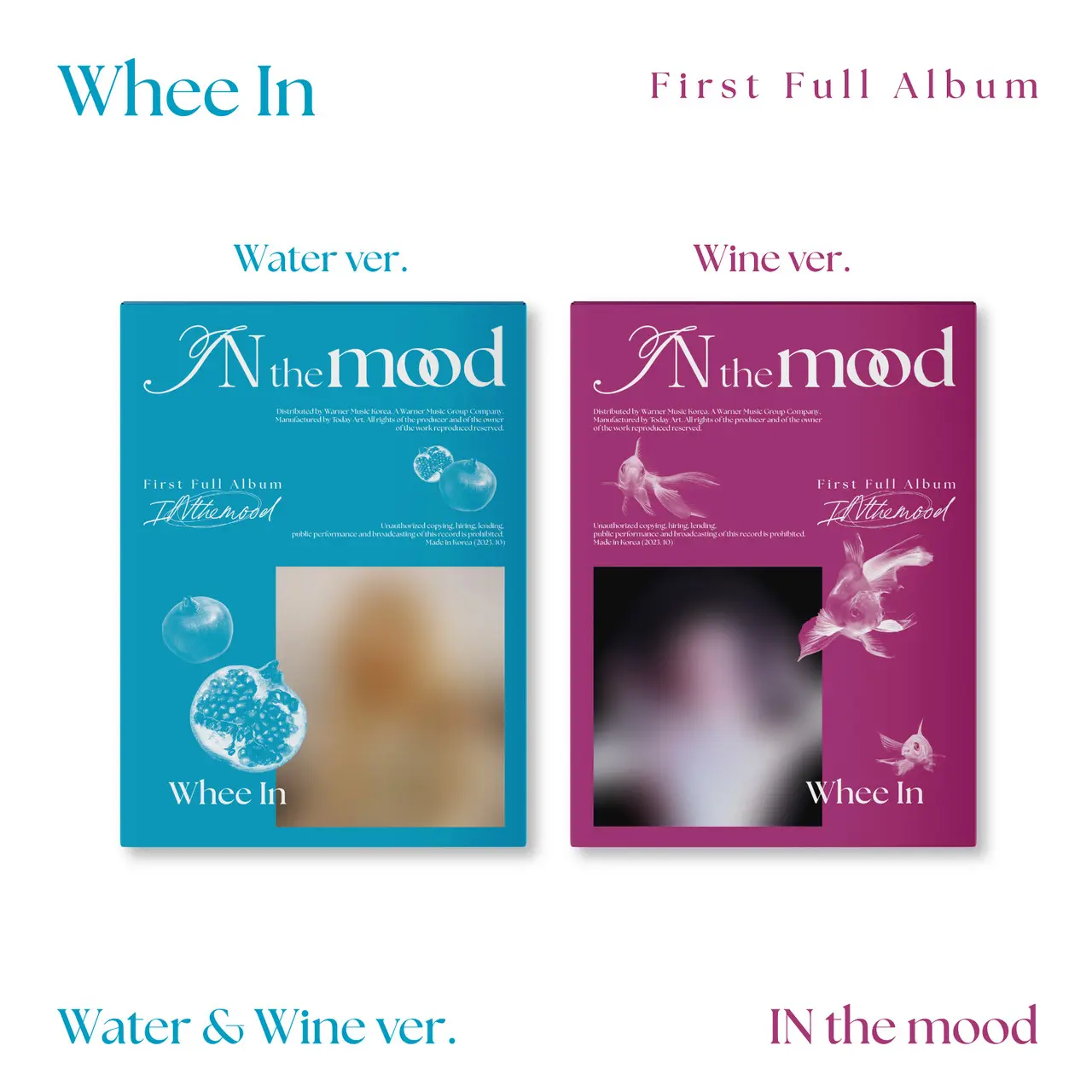 IN the mood (Photobook ver.)