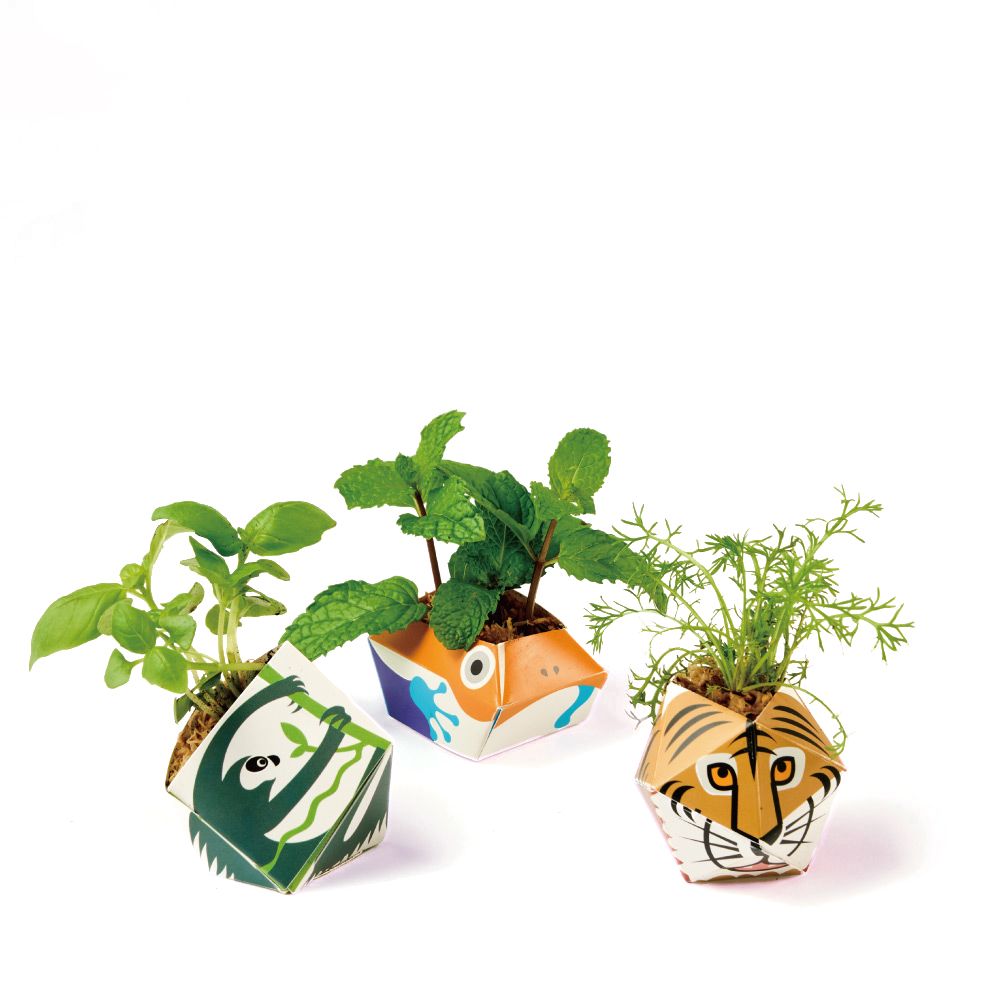 OriBon摺紙盆栽組合/ 孟加拉虎/ 樹懶/ 金色箭毒蛙