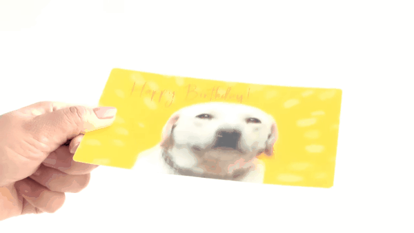 日本 GRAPAC 生日動動明信片/ 獵犬