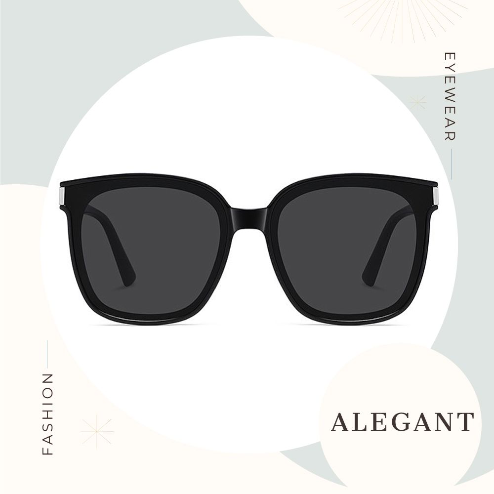ALEGANT沐月黑鑲嵌鈦銀金屬方框TR90偏光墨鏡/UV400太陽眼鏡 山岳的夜光微景