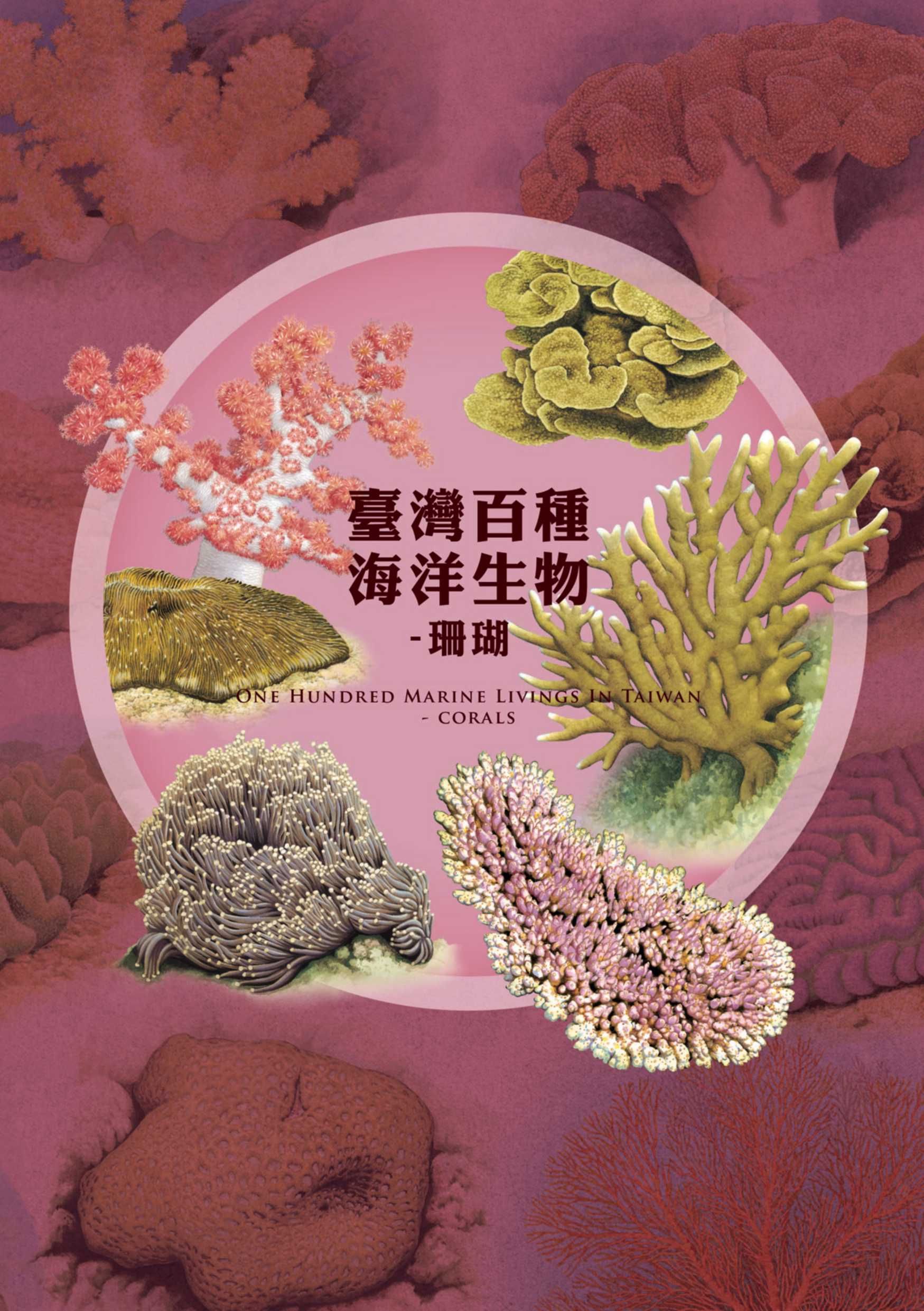 臺灣百種海洋生物: 珊瑚