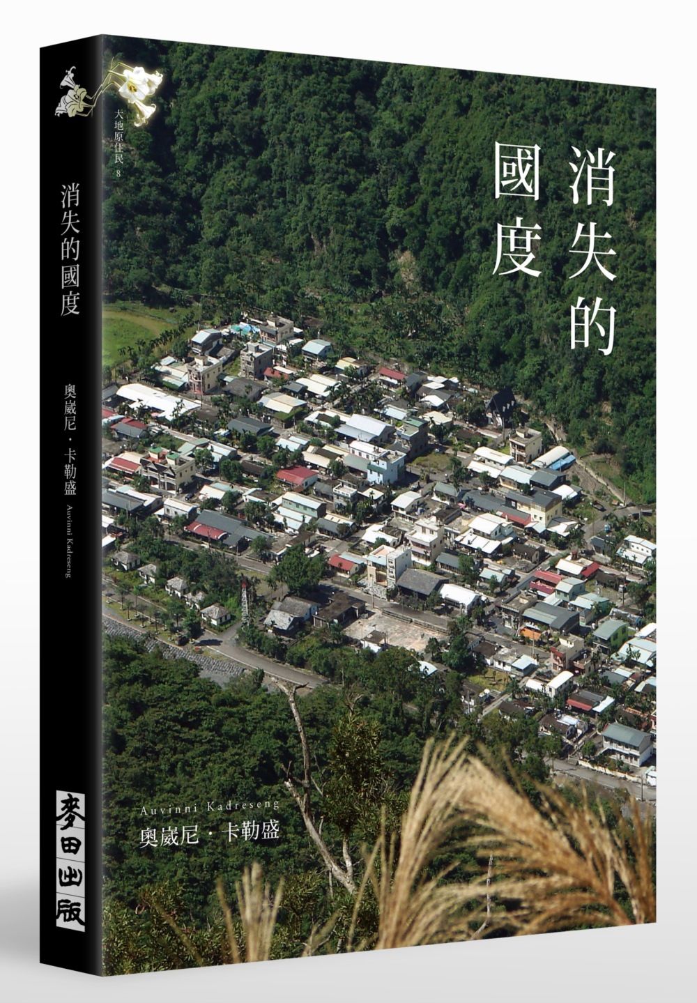 消失的國度 (新版)