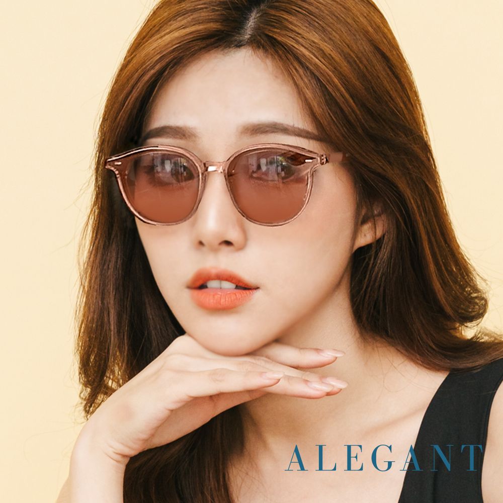 ALEGANT松野棕清新簡練品味設計波士頓圓框墨鏡/UV400太陽眼鏡