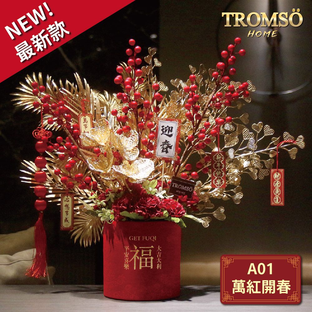 TROMSO金喜發財果新年花禮花籃A系列(大)/ A01萬紅開春