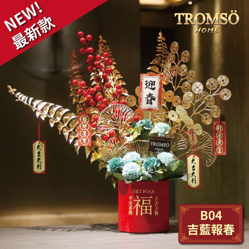 TROMSO金喜發財果新年花禮花籃B系列(小)/ B04吉藍報春